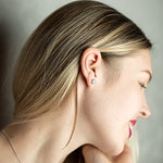 Load image into Gallery viewer, Crown™ Luxury Sterling Silver Zircon Earrings
